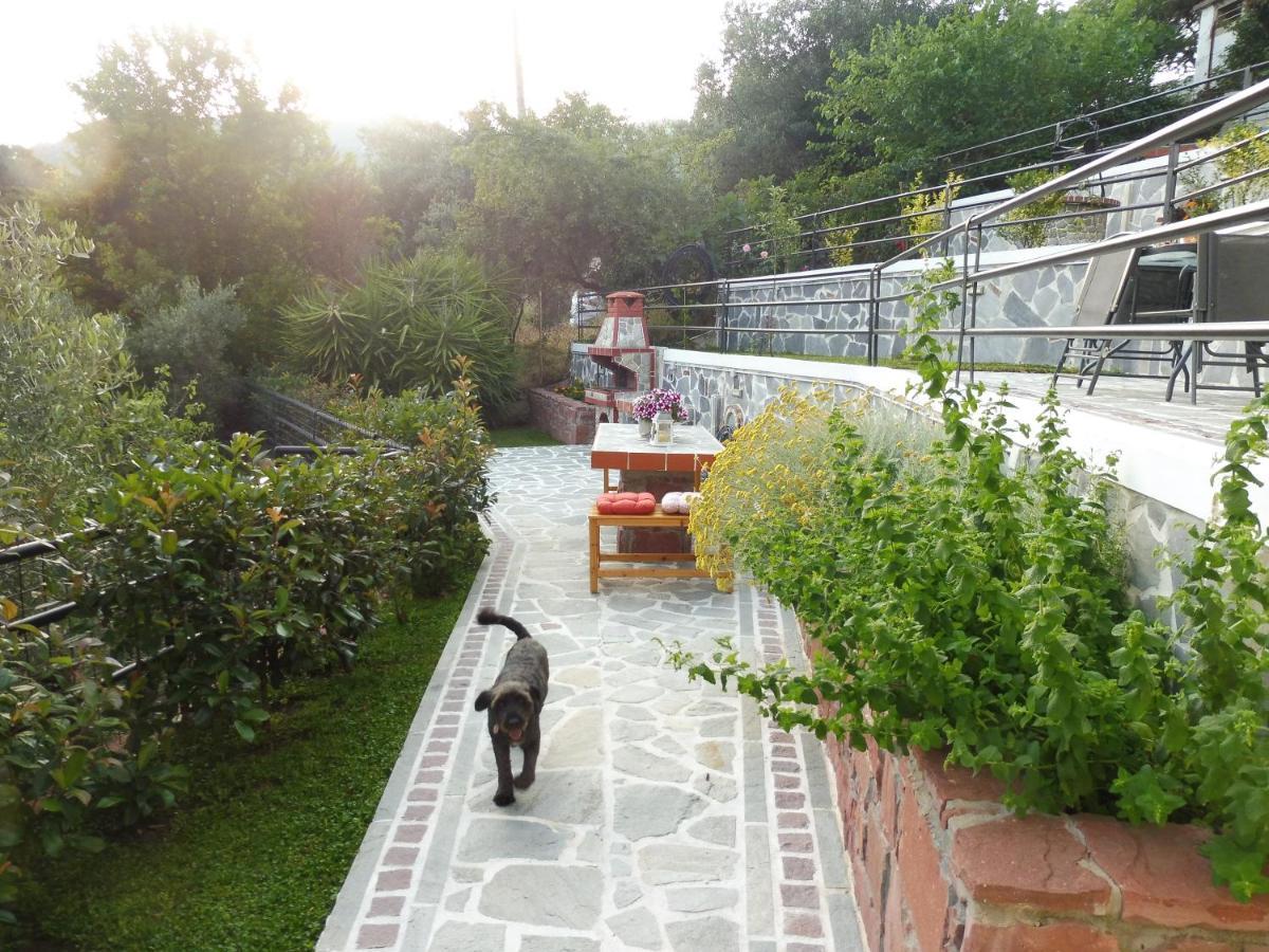 Helianthos Villa - Apartment No1 Paleo Tsifliki Exterior photo